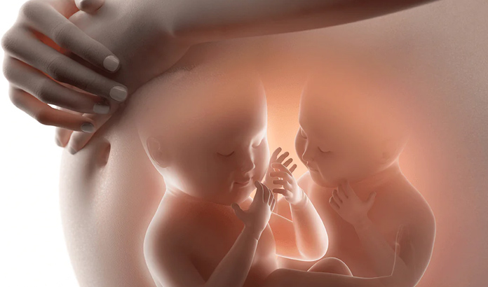 birden fazla embriyo transferi ve ikiz gebelikler